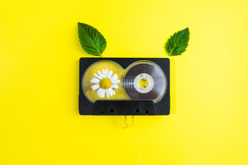 audio cassette with chamomile flowers and green mint leaves on yellow background