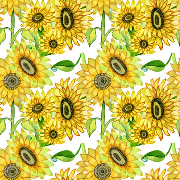 Seamless pattern wallpaper digital peiper sunflower watercolor