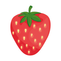 fresh strawberry fruit in white background vector illustration design