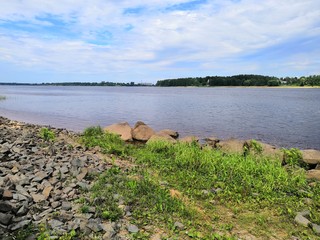 lake in the forest