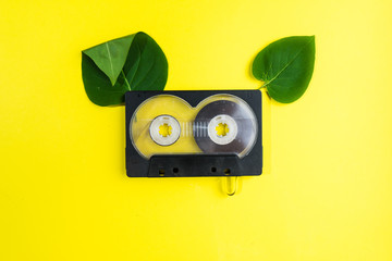 audio cassette with  green tree leaves on yellow background