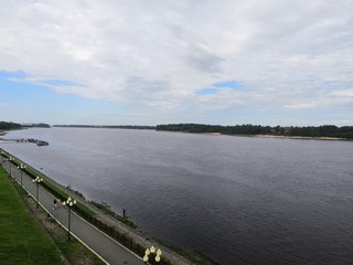 bridge over the river