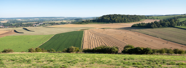 paysage avec des champs de maïs et des prairies dans le parc régional de caps et marais d& 39 opale dans le nord de la france