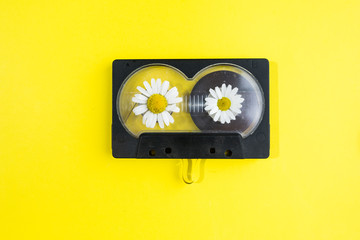 audio cassette with chamomile flowers  on yellow background