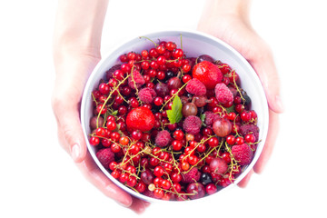 hands holding mix of fresh berries