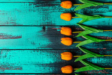 orange tulips on cyan turquoise old wooden background minimal