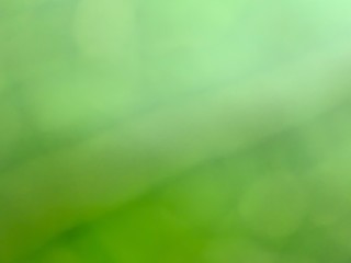 green bokeh background