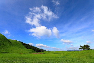 初秋の曽爾高原
