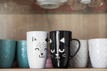 A white and a black cat cup together in the cupboard. Relationship goal.