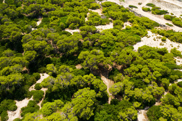 Beaches Sa Rapita and Es Trenc Mallorca Spain