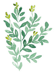 Branches full of small green leaves hand painted with watercolors. Illustration perfect for creating cards, invitations, wedding design, background, texture, wrapper pattern, frame or border.