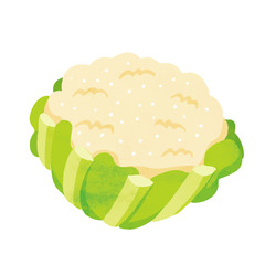 カリフラワー