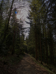 Fototapeta premium P1130587