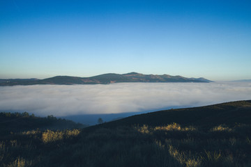 Fototapeta na wymiar uma paisagem com nevoeiro