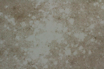 The walls and ceilings are contaminated with mold spots, filling up the bathroom and home area caused by humidity.