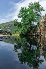 Fototapeta premium lake in the forest