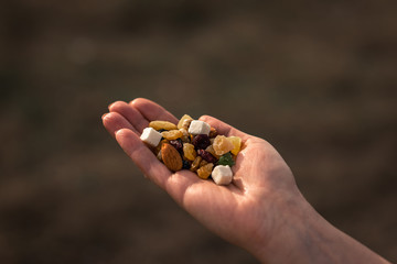 woman hands holding berries and nuts