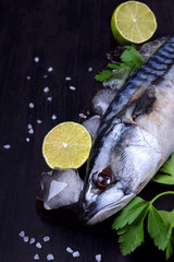 Raw mackerel on black board surrounded by ice, lime, lemon, parsley and spices