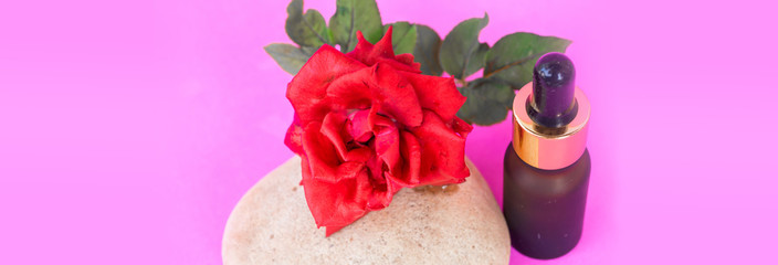Obraz na płótnie Canvas bottle of perfume, red roses on spa stone in pink background. beauty spa concept copy-space or web banner
