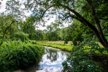 river in the forest