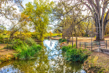 Pond & Trees At Local Flower Farm In Fall