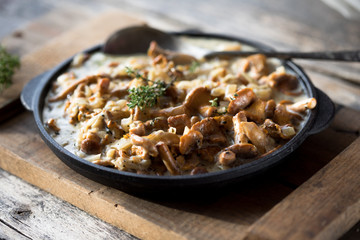 Fried chanterelle mushrooms with onions or stew on wooden background. Selective focus.