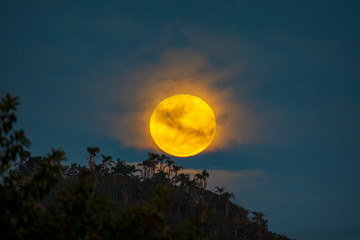 A big yellow full moon is rising over Campeche Island in Florianopolis Brazil