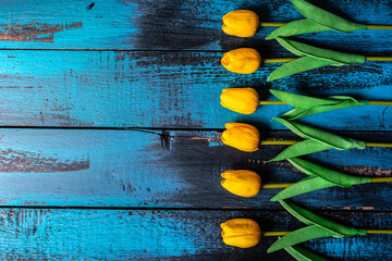 yellow tulips on blue old wooden background minimal