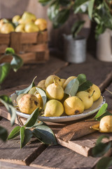 Ripe yellow pears in a plate on wooden background