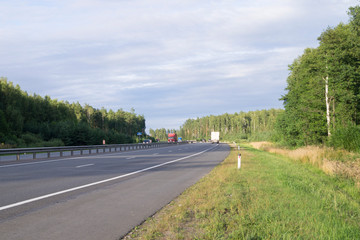 highway among forests on a sunny day