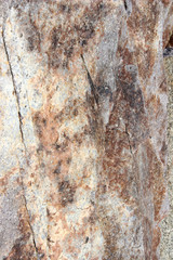 Obraz premium close-up of stone wall background