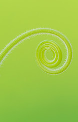 Closeup nature view of green leaf in garden at summer under sunlight. Natural green plants landscape using as a background or wallpaper