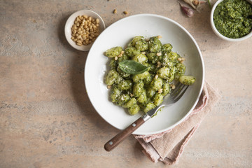 Italian food: homemade gnocchi with pesto sauce Parmesan and basil on concrete  table