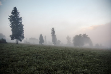 Polana spowita mgłą po wschodzie słońca