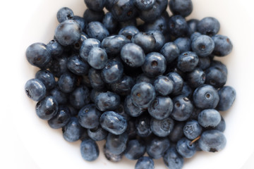 blueberries close-up. baby berries macro