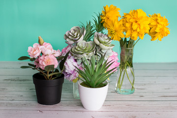a bouquet of yellow flowers in a vase on a green pastel background. Design of flowers in the Studio.