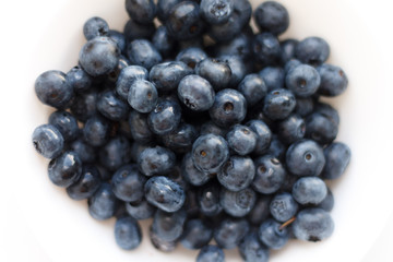 blueberries close-up. baby berries macro