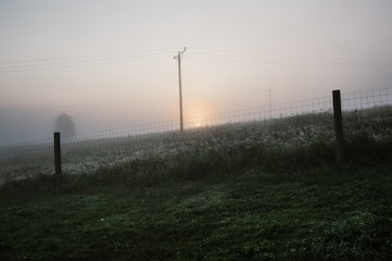 Polana ze starym słupem elektrycznym spowita poranną mgłą