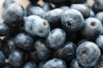 blueberries close-up. baby berries macro