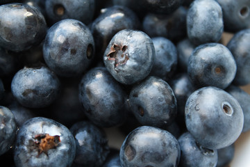 blueberries close-up. baby berries macro