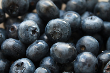 blueberries close-up. baby berries macro