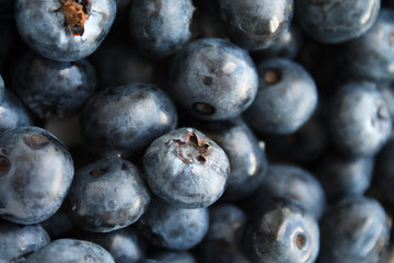 blueberries close-up. baby berries macro