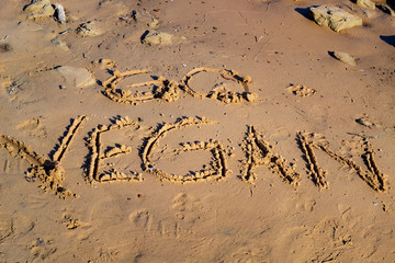 Obraz premium Go Vegan written in sand - found at the shore of lake
