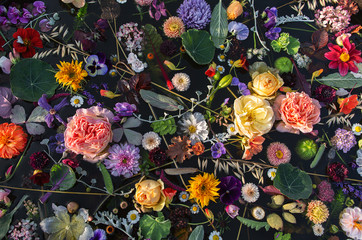 Multicolored flowers ,black background ,top view .