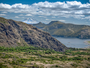 Fototapeta premium Volcano Mountain Landscape with Wildflowers and Blue Sky