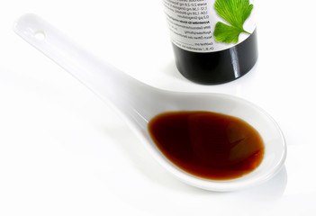 Ginkgo Biloba Extract on white Background - Isolated