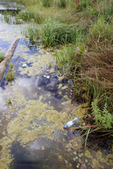 garbage in the river. Plastic bottle in blooming water. Polluted coast. Environmental pollution. A contaminated river or reservoir. top view.