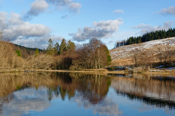 Fototapeta na wymiar Loch Saugh in the foothills of the Angus Glens on a bright afternoon in February, with the reflections of the Trees at the waters edge.