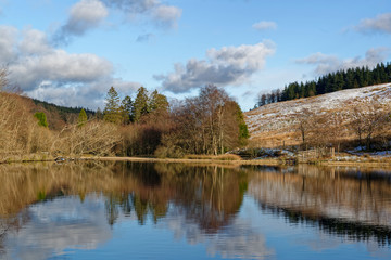 Obraz premium Loch Saugh in the foothills of the Angus Glens on a bright afternoon in February, with the reflections of the Trees at the waters edge.