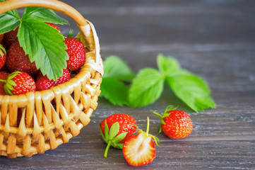 ripe strawberries in a wicker basket close-up. background with strawberries.